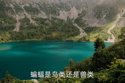蝙蝠是鳥類還是獸類