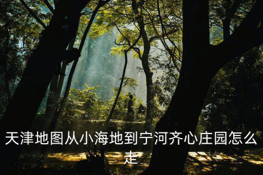 天津地圖從小海地到寧河齊心莊園怎么走