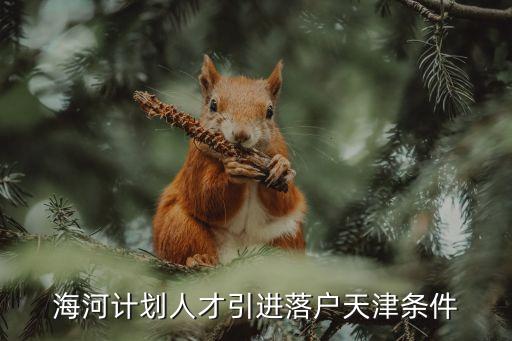 海河計(jì)劃人才引進(jìn)落戶天津條件