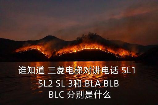 誰知道 三菱電梯對講電話 SL1 SL2 SL 3和 BLA BLB BLC 分別是什么