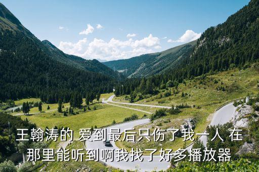 王翰濤，王翰濤的 愛到最后只傷了我一人 在那里能聽到啊我找了好多播放器