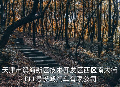天津市濱海新區(qū)技術(shù)開發(fā)區(qū)西區(qū)南大街111號長城汽車有限公司