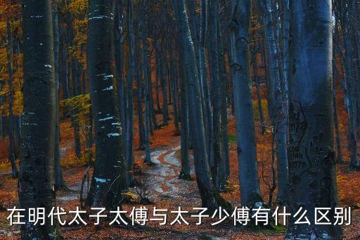 在明代太子太傅與太子少傅有什么區(qū)別