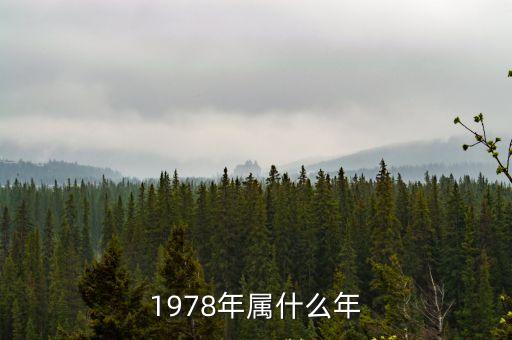 1978年屬什么年
