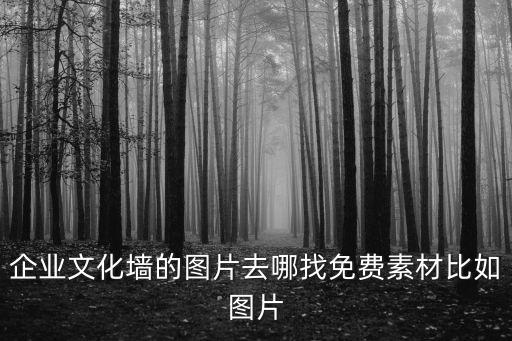 企業文化墻的圖片去哪找免費素材比如圖片