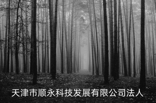天津市順永科技發展有限公司法人