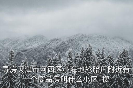 尋房天津市河西區小海地輪胎廠附近有一個商品房叫什么小區  搜
