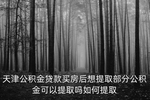 天津公積金貸款買房后想提取部分公積金可以提取嗎如何提取