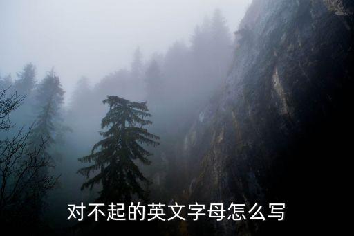 對不起的英文字母怎么寫