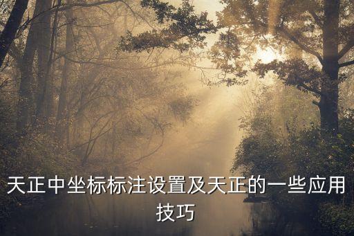 天正坐標(biāo)標(biāo)注設(shè)置，天正軟件中怎樣標(biāo)注坐標(biāo)