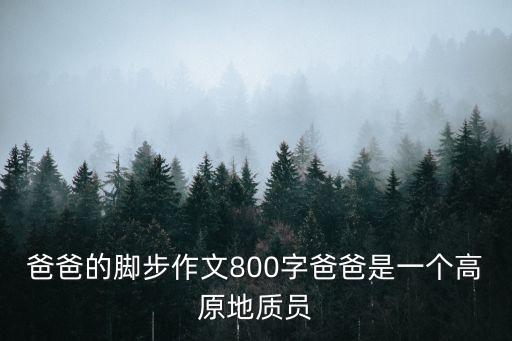 父親的腳步，WOW魔獸世界砮皂寺任務父親的腳步在哪