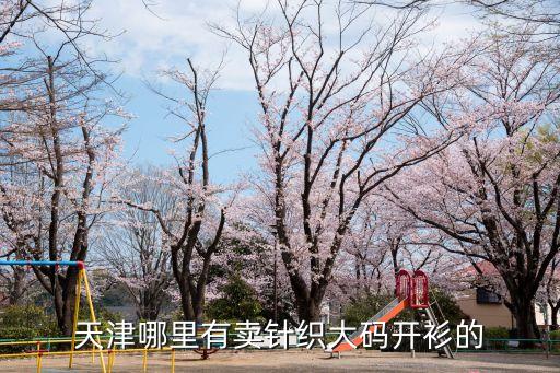 天津哪里有賣針織大碼開衫的