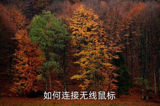 無線鼠標怎么連接，無線鼠標怎么聯