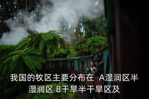 農牧區，我國的牧區主要分布在  A濕潤區半濕潤區 B干旱半干旱區及