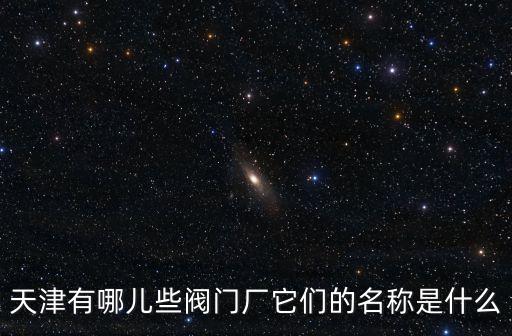 天津有哪兒些閥門廠它們的名稱是什么