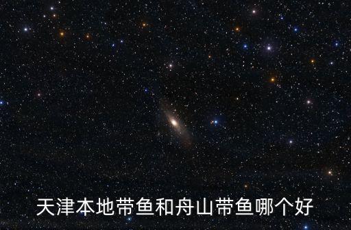 天津本地帶魚和舟山帶魚哪個好