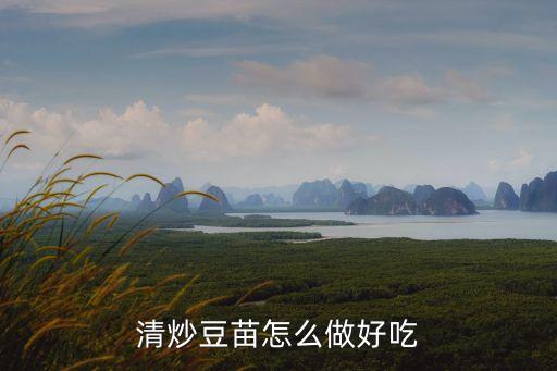 炒豆苗的家常做法，炒豆苗怎么做好吃炒豆苗的家常做法