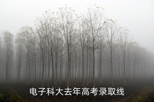 電子科大去年高考錄取線