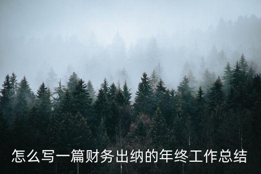 怎么寫一篇財(cái)務(wù)出納的年終工作總結(jié)