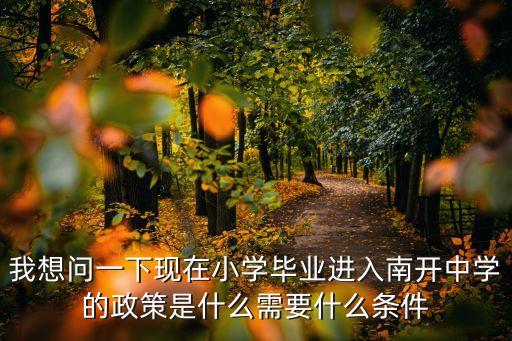我想問一下現在小學畢業進入南開中學的政策是什么需要什么條件