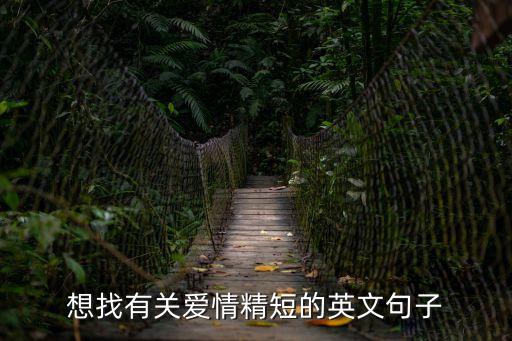 英文愛情短句，有關(guān)愛情的英語句子