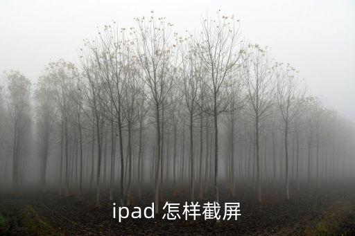 ipad 怎樣截屏