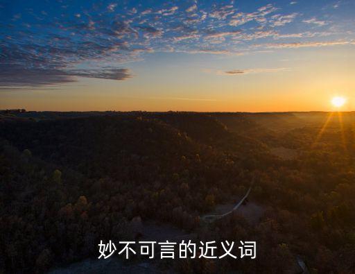 妙不可言的近義詞