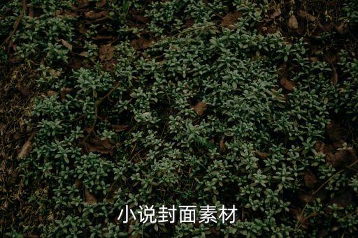 小說封面素材