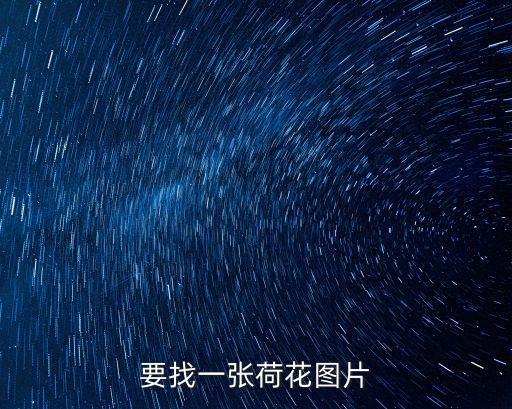 要找一張荷花圖片