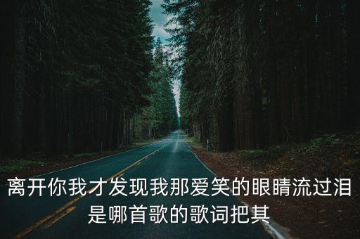離開你我才發(fā)現(xiàn)我那愛笑的眼睛流過淚是哪首歌的歌詞把其
