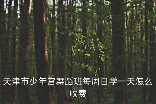 天津市少年宮舞蹈班每周日學一天怎么收費
