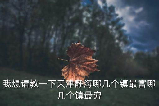 我想請教一下天津靜海哪幾個鎮最富哪幾個鎮最窮