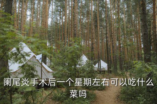 闌尾炎手術后一個星期左右可以吃什么菜嗎