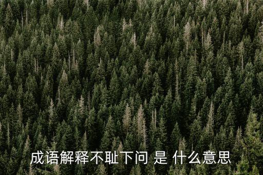 不恥下問，成語解釋不恥下問 是 什么意思