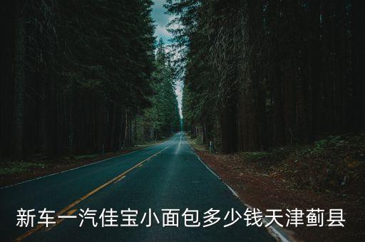 新車一汽佳寶小面包多少錢天津薊縣