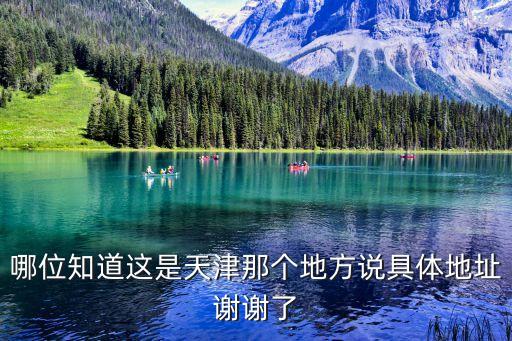 哪位知道這是天津那個地方說具體地址謝謝了