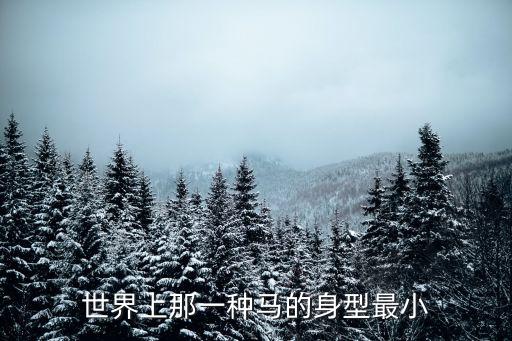微型馬，世界上那一種馬的身型最小