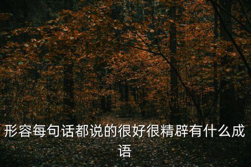 形容每句話都說的很好很精辟有什么成語