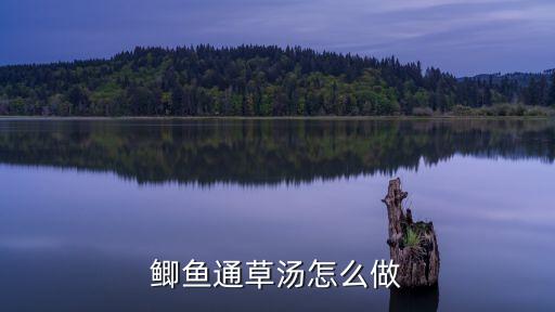 鯽魚通草湯怎么做