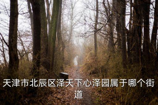 天津市北辰區澤天下心澤園屬于哪個街道