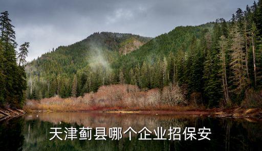 天津市薊縣保安公司，天津薊縣哪個企業招保安