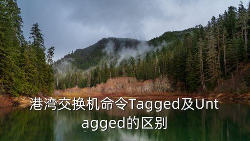 untagged，請問上面的vlan1與vlan5上面的tagged與untagged什么意思與功能