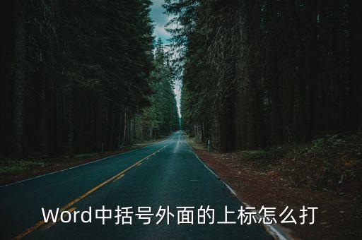 Word中括號外面的上標怎么打