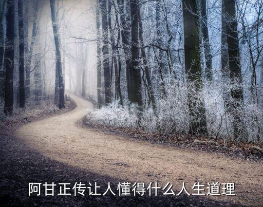 阿甘正傳讓人懂得什么人生道理