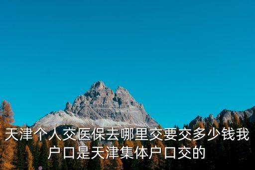 天津個人交醫保去哪里交要交多少錢我戶口是天津集體戶口交的