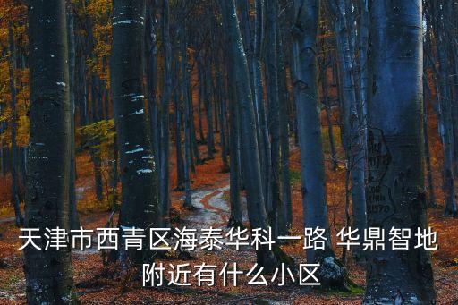 天津市西青區(qū)海泰華科一路 華鼎智地 附近有什么小區(qū)