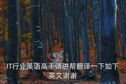 IT行業英語高手請進幫翻譯一下如下英文謝謝