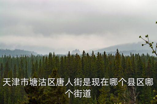 天津市塘沽區唐人街是現在哪個縣區哪個街道