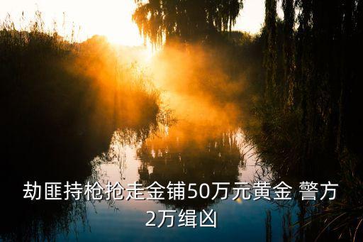 天津市2019年金店搶劫案，劫匪持槍搶走金鋪50萬元黃金 警方2萬緝兇