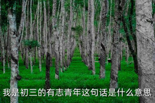 我是初三的有志青年這句話是什么意思